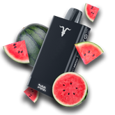 Ignite V150