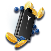 Ignite V80
